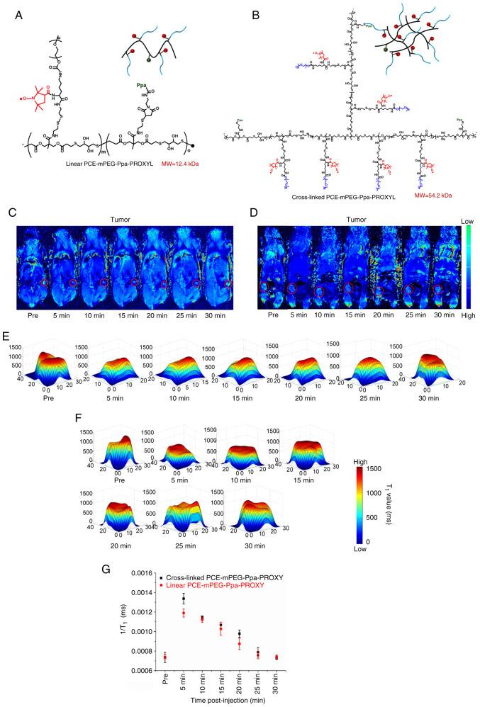 https://cdn.ncbi.nlm.nih.gov/pmc/blobs/0a98/12274189/16b7424f502b/ijo-67-02-05776-g03.jpg