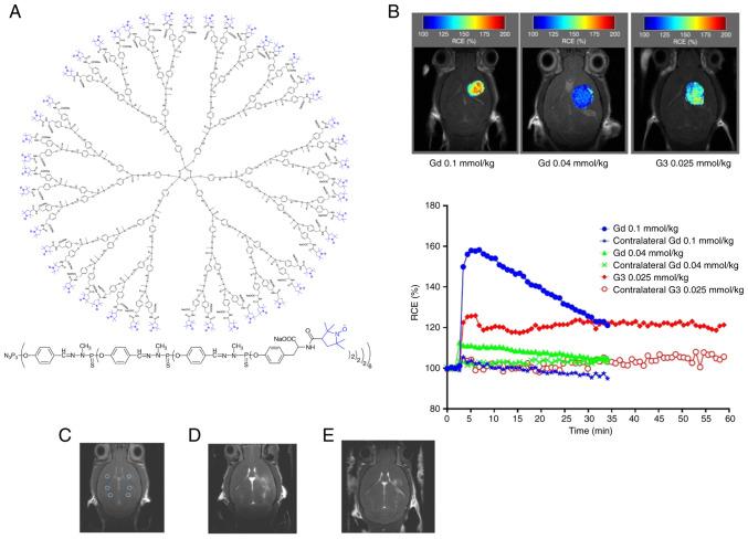https://cdn.ncbi.nlm.nih.gov/pmc/blobs/0a98/12274189/5909793e9ece/ijo-67-02-05776-g04.jpg