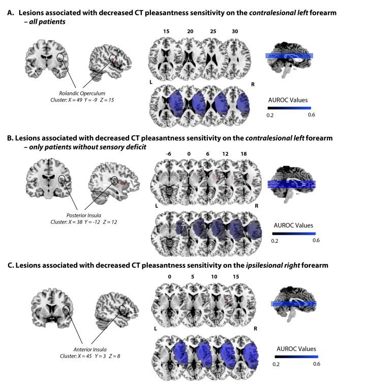 https://cdn.ncbi.nlm.nih.gov/pmc/blobs/0a98/7043887/488457823065/elife-47895-fig2.jpg