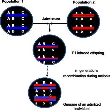 https://cdn.ncbi.nlm.nih.gov/pmc/blobs/0a99/4307746/425d7a18a98e/40246_2014_23_Fig4_HTML.jpg