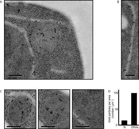 https://cdn.ncbi.nlm.nih.gov/pmc/blobs/0a9a/1750955/b7f04bce35cd/pbio.0040423.g005.jpg