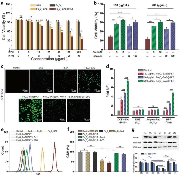 https://cdn.ncbi.nlm.nih.gov/pmc/blobs/0a9a/9382433/45188ad3433f/gr10.jpg
