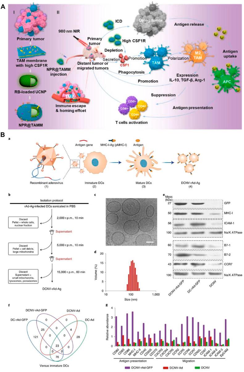 https://cdn.ncbi.nlm.nih.gov/pmc/blobs/0a9a/9382433/6817d94824ee/gr5.jpg
