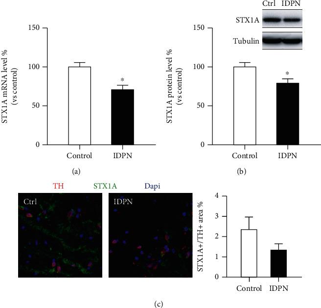https://cdn.ncbi.nlm.nih.gov/pmc/blobs/0a9b/9492347/d1dbd90b5230/DM2022-1148191.001.jpg