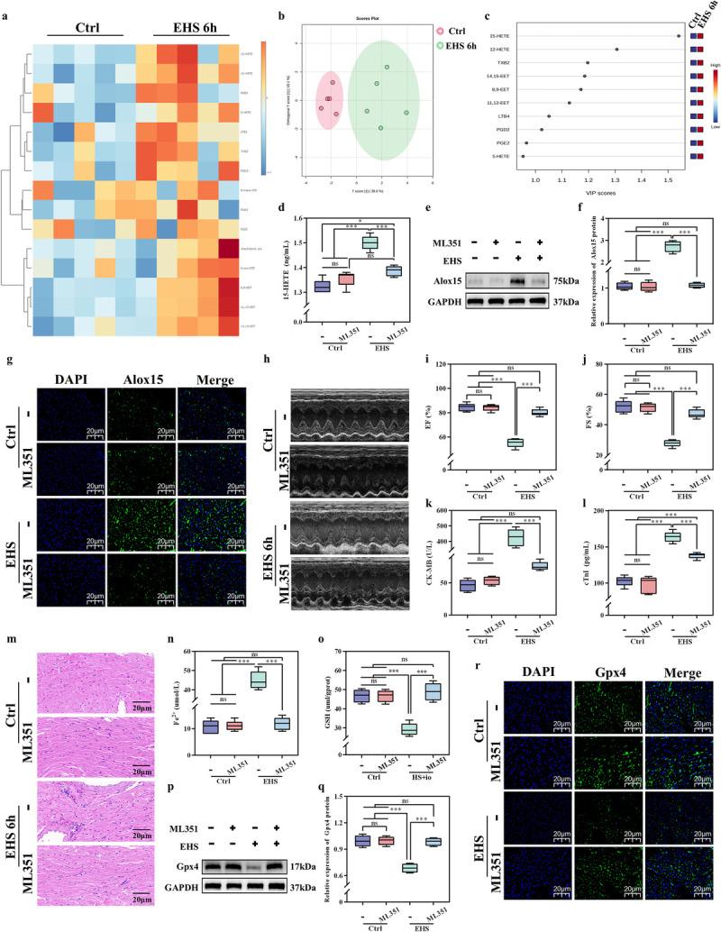 https://cdn.ncbi.nlm.nih.gov/pmc/blobs/0a9c/12278748/3b38032ff4df/shock-64-272-g006.jpg