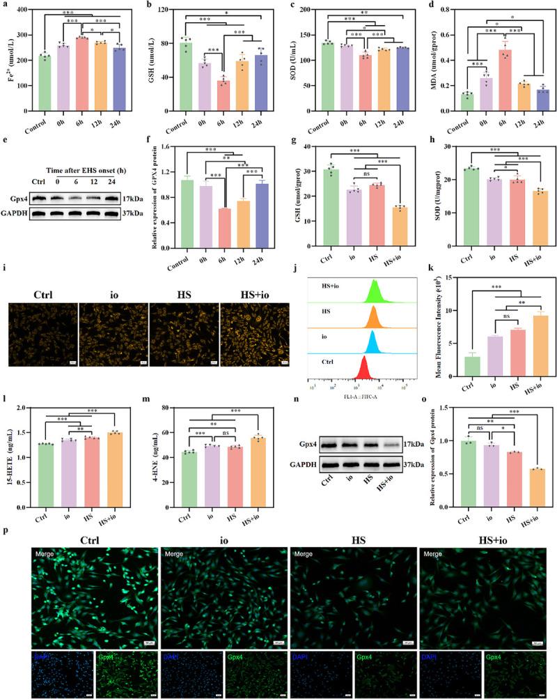 https://cdn.ncbi.nlm.nih.gov/pmc/blobs/0a9c/12278748/cfcd1dc04bf0/shock-64-272-g002.jpg