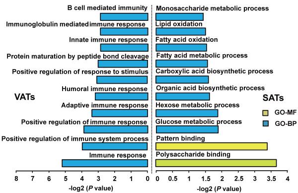 https://cdn.ncbi.nlm.nih.gov/pmc/blobs/0a9d/3679871/b3f2743a9309/1476-511X-12-75-3.jpg
