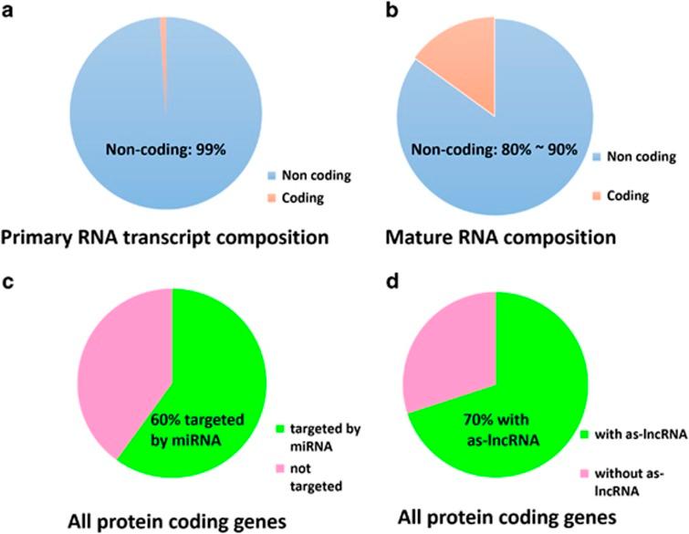 https://cdn.ncbi.nlm.nih.gov/pmc/blobs/0a9d/5108314/2ea0a88ae937/cddis2016210f1.jpg