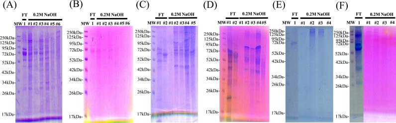 https://cdn.ncbi.nlm.nih.gov/pmc/blobs/0a9d/5613647/d8d7765dade5/gr2.jpg