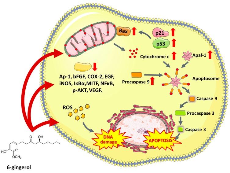 https://cdn.ncbi.nlm.nih.gov/pmc/blobs/0a9d/6627480/1d945523b46a/nutrients-11-01426-g003.jpg