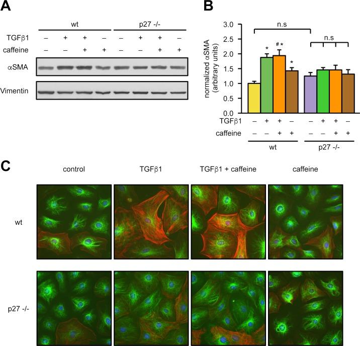 https://cdn.ncbi.nlm.nih.gov/pmc/blobs/0aa1/6013014/46372c85d5a3/pbio.2004408.g006.jpg