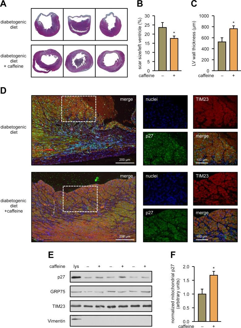 https://cdn.ncbi.nlm.nih.gov/pmc/blobs/0aa1/6013014/594c9264d6a0/pbio.2004408.g009.jpg