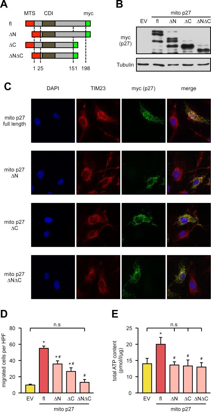 https://cdn.ncbi.nlm.nih.gov/pmc/blobs/0aa1/6013014/76effd8b7103/pbio.2004408.g003.jpg