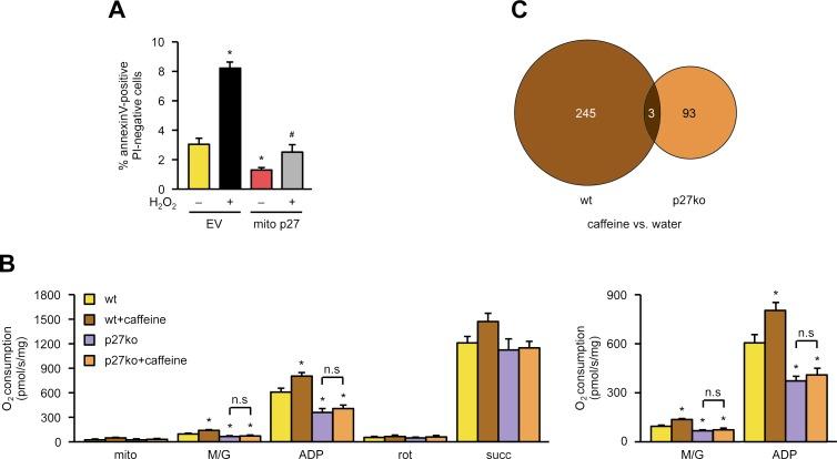 https://cdn.ncbi.nlm.nih.gov/pmc/blobs/0aa1/6013014/9b6d2e09b858/pbio.2004408.g005.jpg