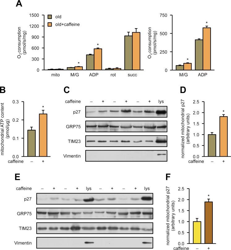 https://cdn.ncbi.nlm.nih.gov/pmc/blobs/0aa1/6013014/a67daee161d0/pbio.2004408.g008.jpg