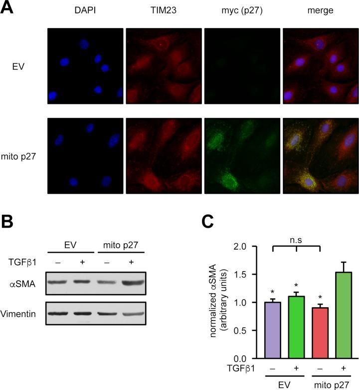 https://cdn.ncbi.nlm.nih.gov/pmc/blobs/0aa1/6013014/b1565b30f283/pbio.2004408.g007.jpg