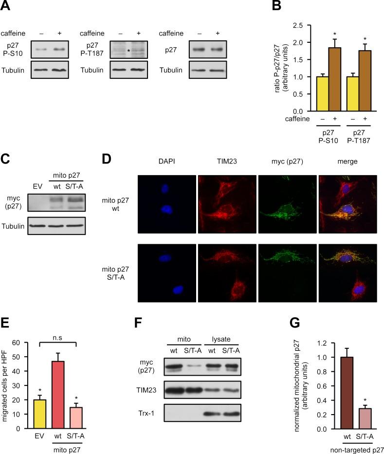 https://cdn.ncbi.nlm.nih.gov/pmc/blobs/0aa1/6013014/c288fbe53bac/pbio.2004408.g004.jpg