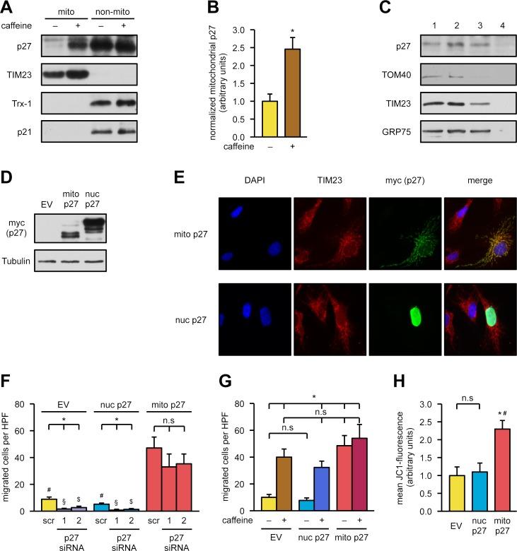 https://cdn.ncbi.nlm.nih.gov/pmc/blobs/0aa1/6013014/e0375130c85f/pbio.2004408.g002.jpg