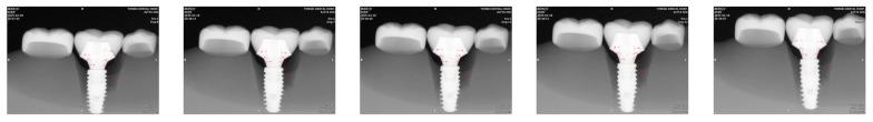 https://cdn.ncbi.nlm.nih.gov/pmc/blobs/0aa3/12292619/5a1212ae604a/bioengineering-12-00772-g004.jpg