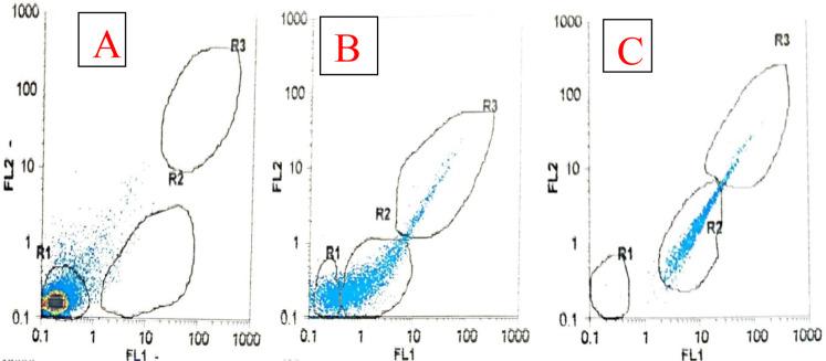 https://cdn.ncbi.nlm.nih.gov/pmc/blobs/0aa4/11033531/2c22c44d4ed6/IJPA-19-52-g003.jpg