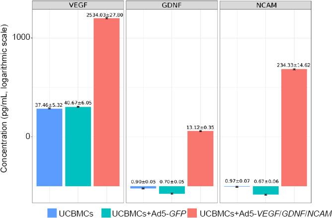 https://cdn.ncbi.nlm.nih.gov/pmc/blobs/0aa5/7996027/6094b434c4c2/NRR-16-550-g009.jpg