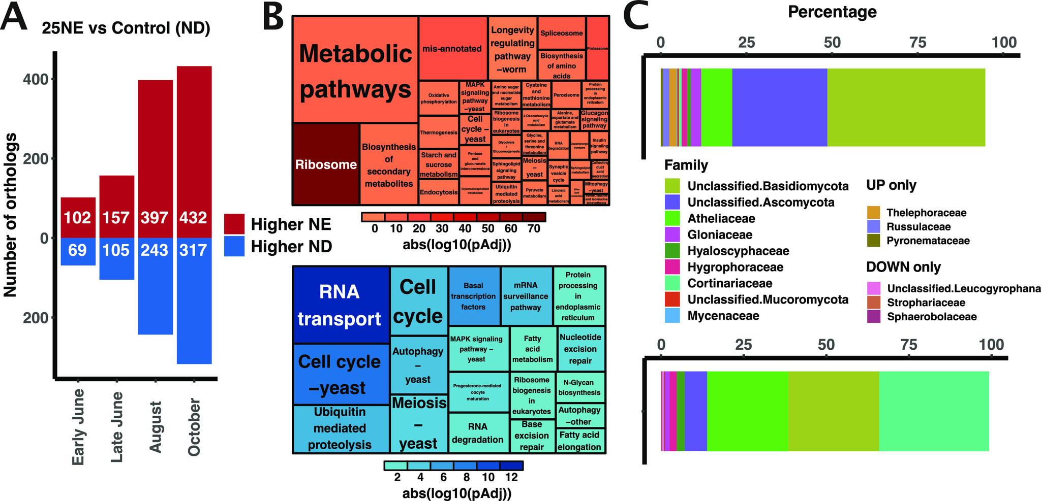 https://cdn.ncbi.nlm.nih.gov/pmc/blobs/0aa5/8573963/98ab60018ddb/msystems.00884-20-f0007.jpg