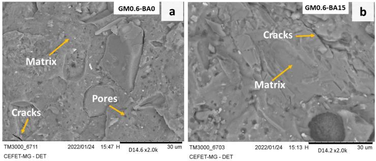 https://cdn.ncbi.nlm.nih.gov/pmc/blobs/0aa6/8874479/0b50106e2e8b/molecules-27-01185-g002a.jpg