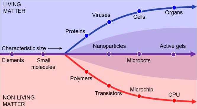 https://cdn.ncbi.nlm.nih.gov/pmc/blobs/0aa9/8928473/957de90e517b/la1c02581_0004.jpg