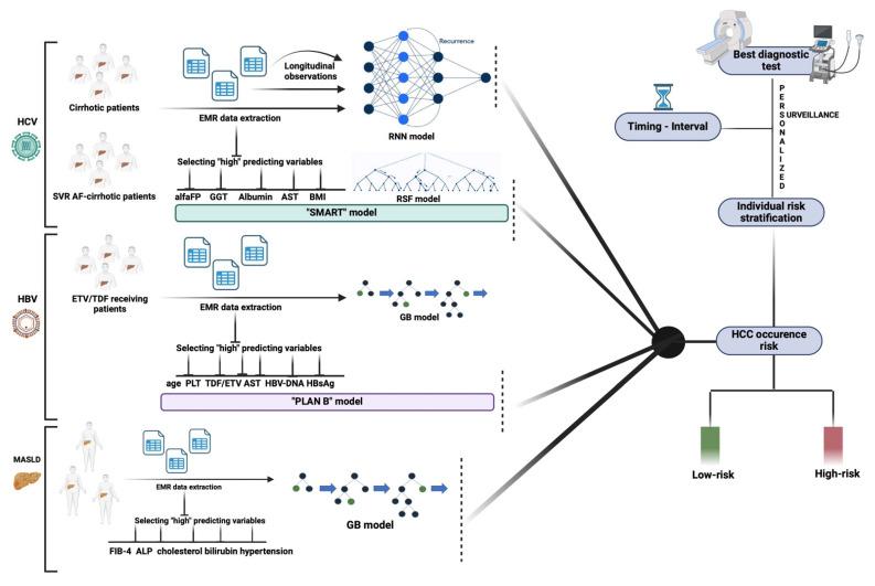 https://cdn.ncbi.nlm.nih.gov/pmc/blobs/0aaa/11817573/ba41495fda57/diagnostics-15-00252-g001.jpg