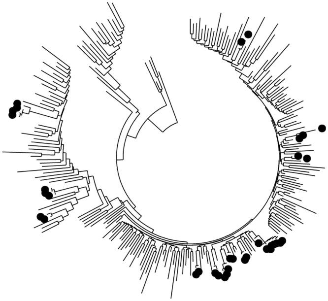 https://cdn.ncbi.nlm.nih.gov/pmc/blobs/0aab/4752262/a1ef66d412b1/pone.0147436.g002.jpg
