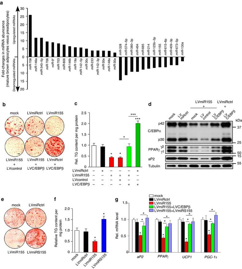 https://cdn.ncbi.nlm.nih.gov/pmc/blobs/0aaf/3644088/ff0a057f758b/ncomms2742-f1.jpg
