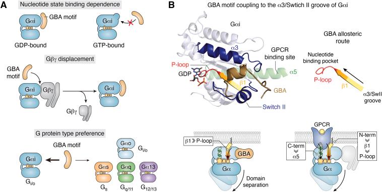 https://cdn.ncbi.nlm.nih.gov/pmc/blobs/0ab1/10943482/71f45153b9a5/gr2.jpg