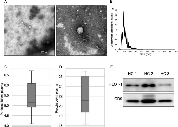 https://cdn.ncbi.nlm.nih.gov/pmc/blobs/0ab1/11190017/1e71ac76b2cb/10157_2024_2464_Fig1_HTML.jpg