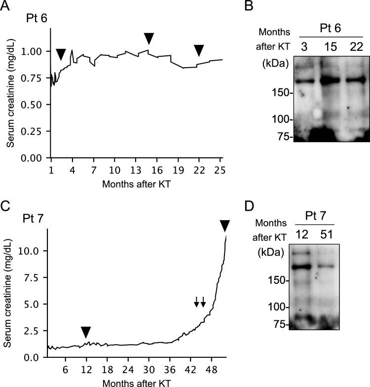 https://cdn.ncbi.nlm.nih.gov/pmc/blobs/0ab1/11190017/e5aeecc09626/10157_2024_2464_Fig5_HTML.jpg
