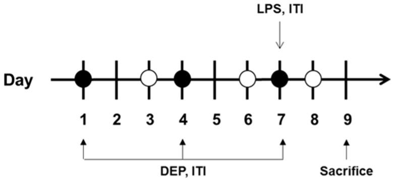 https://cdn.ncbi.nlm.nih.gov/pmc/blobs/0ab1/7825418/78324a72c89b/biomolecules-11-00067-g001.jpg