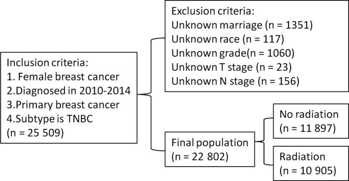 https://cdn.ncbi.nlm.nih.gov/pmc/blobs/0ab2/6382720/c9e155df827d/CAM4-8-554-g001.jpg