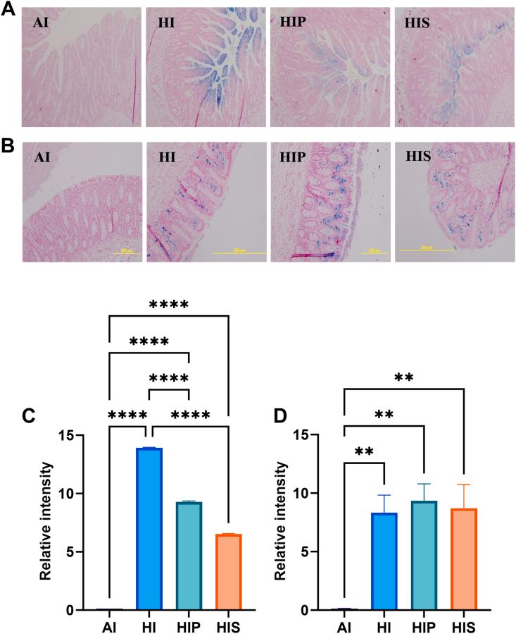 https://cdn.ncbi.nlm.nih.gov/pmc/blobs/0ab6/11026733/356cbc9a23dd/gr3.jpg