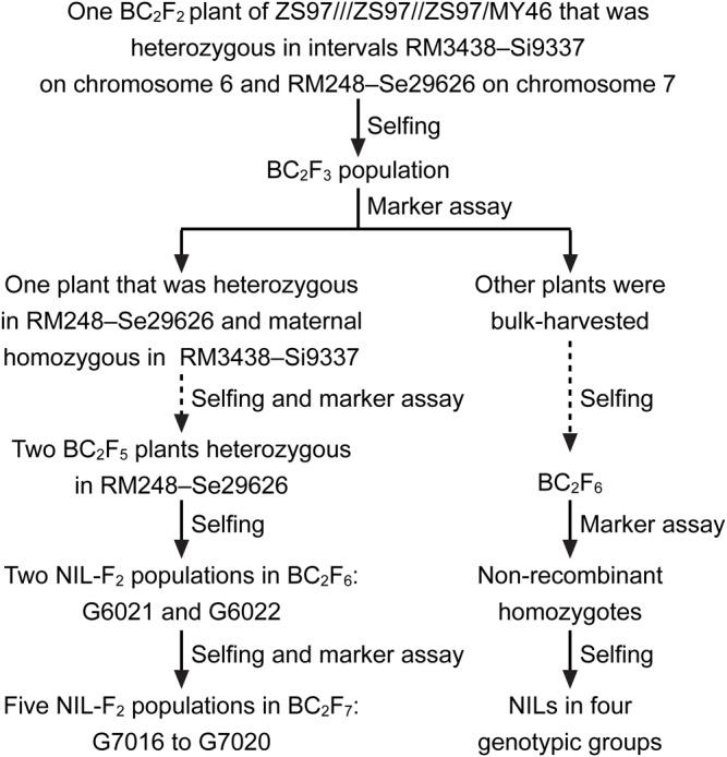https://cdn.ncbi.nlm.nih.gov/pmc/blobs/0ab6/5155538/6e55e2186f56/biolopen-5-021071-g1.jpg