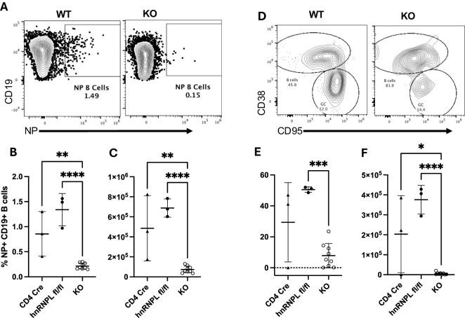 https://cdn.ncbi.nlm.nih.gov/pmc/blobs/0ab7/12018431/6cf6d92fa965/fimmu-16-1543145-g004.jpg