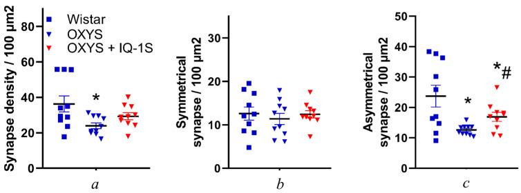 https://cdn.ncbi.nlm.nih.gov/pmc/blobs/0ab7/12190811/dd55bbdb0e71/cells-14-00896-g006.jpg