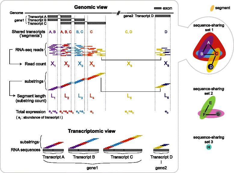 https://cdn.ncbi.nlm.nih.gov/pmc/blobs/0ab9/4559005/ea9cdcabda13/12859_2015_704_Fig1_HTML.jpg