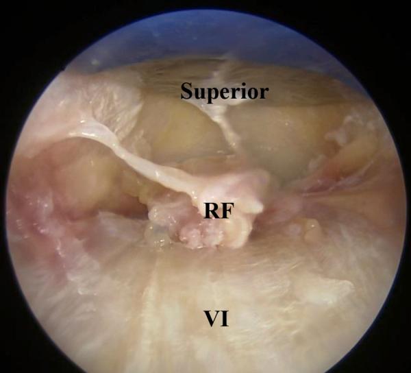 https://cdn.ncbi.nlm.nih.gov/pmc/blobs/0aba/9705914/0dd8d3b8eb4c/gr8.jpg