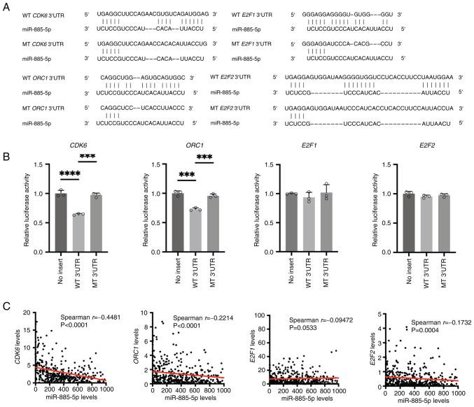 https://cdn.ncbi.nlm.nih.gov/pmc/blobs/0abb/12373435/5fa9966b296d/ijmm-56-05-05608-g03.jpg