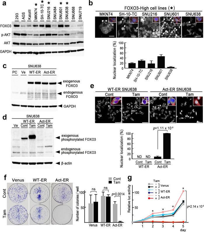 https://cdn.ncbi.nlm.nih.gov/pmc/blobs/0abb/8084732/48d401d3760d/41388_2021_1757_Fig2_HTML.jpg