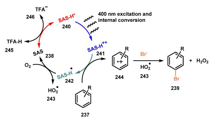 https://cdn.ncbi.nlm.nih.gov/pmc/blobs/0abb/8659127/036ab53a31f9/molecules-26-07380-sch064.jpg