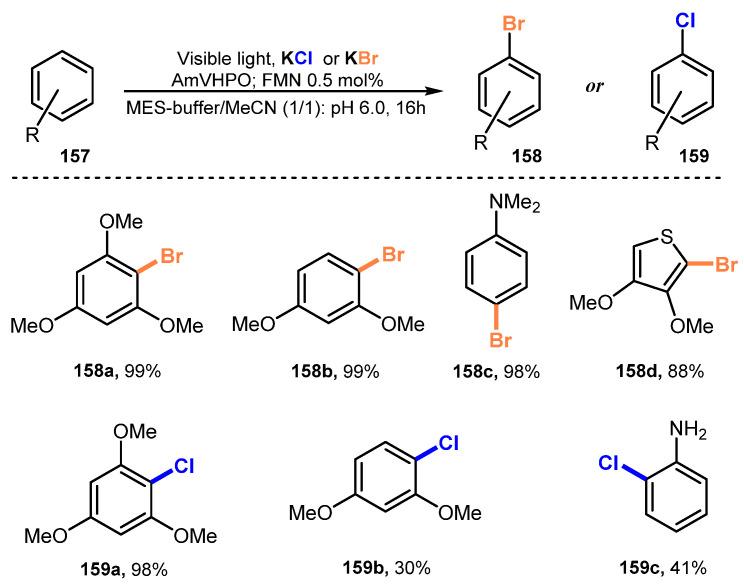 https://cdn.ncbi.nlm.nih.gov/pmc/blobs/0abb/8659127/1ae2a30c55c4/molecules-26-07380-sch042.jpg