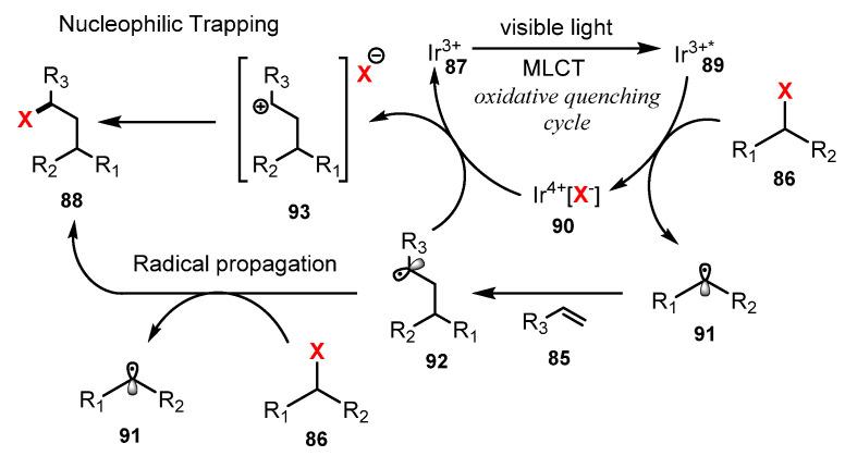 https://cdn.ncbi.nlm.nih.gov/pmc/blobs/0abb/8659127/cfb5b2e5fb6a/molecules-26-07380-sch024.jpg