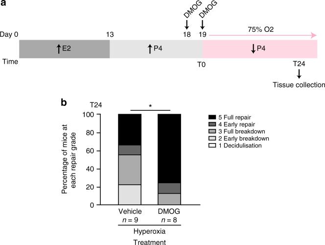 https://cdn.ncbi.nlm.nih.gov/pmc/blobs/0abf/5780386/2ef5d31aa041/41467_2017_2375_Fig6_HTML.jpg