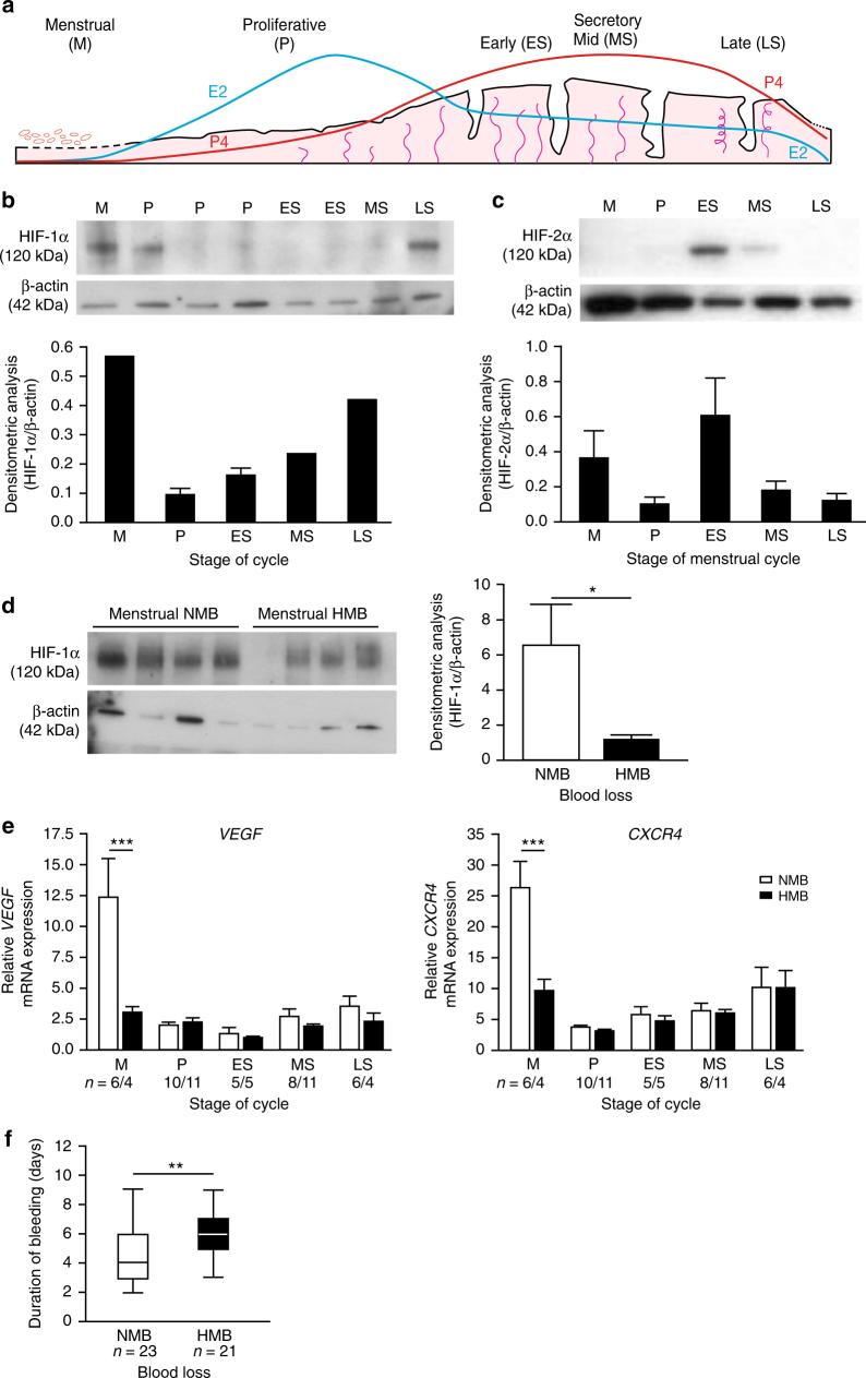 https://cdn.ncbi.nlm.nih.gov/pmc/blobs/0abf/5780386/8dd897a85bac/41467_2017_2375_Fig1_HTML.jpg
