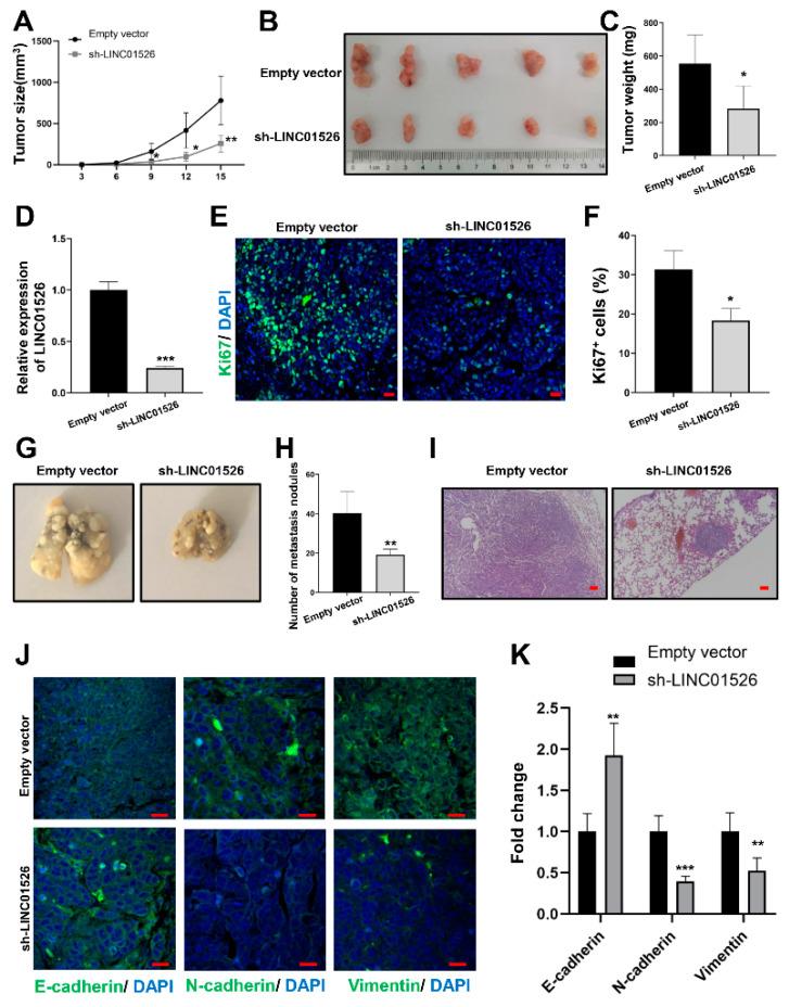 https://cdn.ncbi.nlm.nih.gov/pmc/blobs/0abf/9562272/57ee6609cbb9/cancers-14-04940-g003.jpg